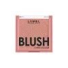 Blush Cheek Colour N.404