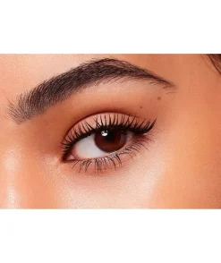 Brow Micro Tatouage 109