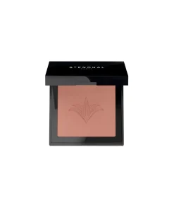 Colorete Fards A Joues Blush 302