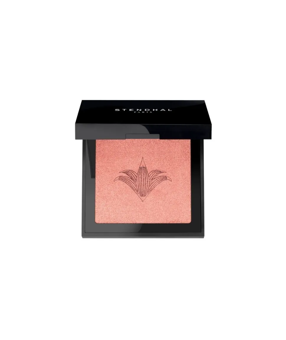 Colorete Fards A Joues Blush 300