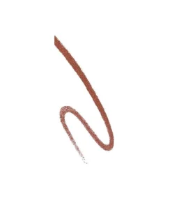 Lapiz De Labios Lipliner Couture Colour Riche 107