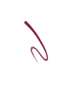 Lapiz De Labios Lipliner Couture Colour Riche 297